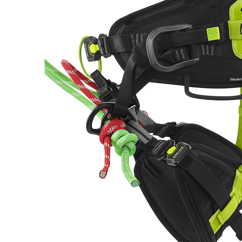 ED Harness TreeRex Trip