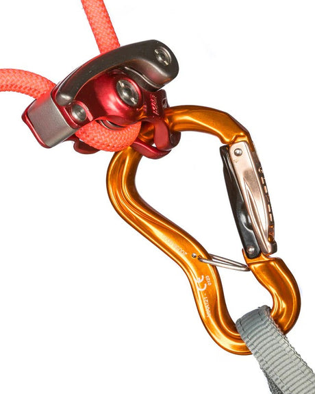 Grivel Carabiner -  Clepsydra L K10G