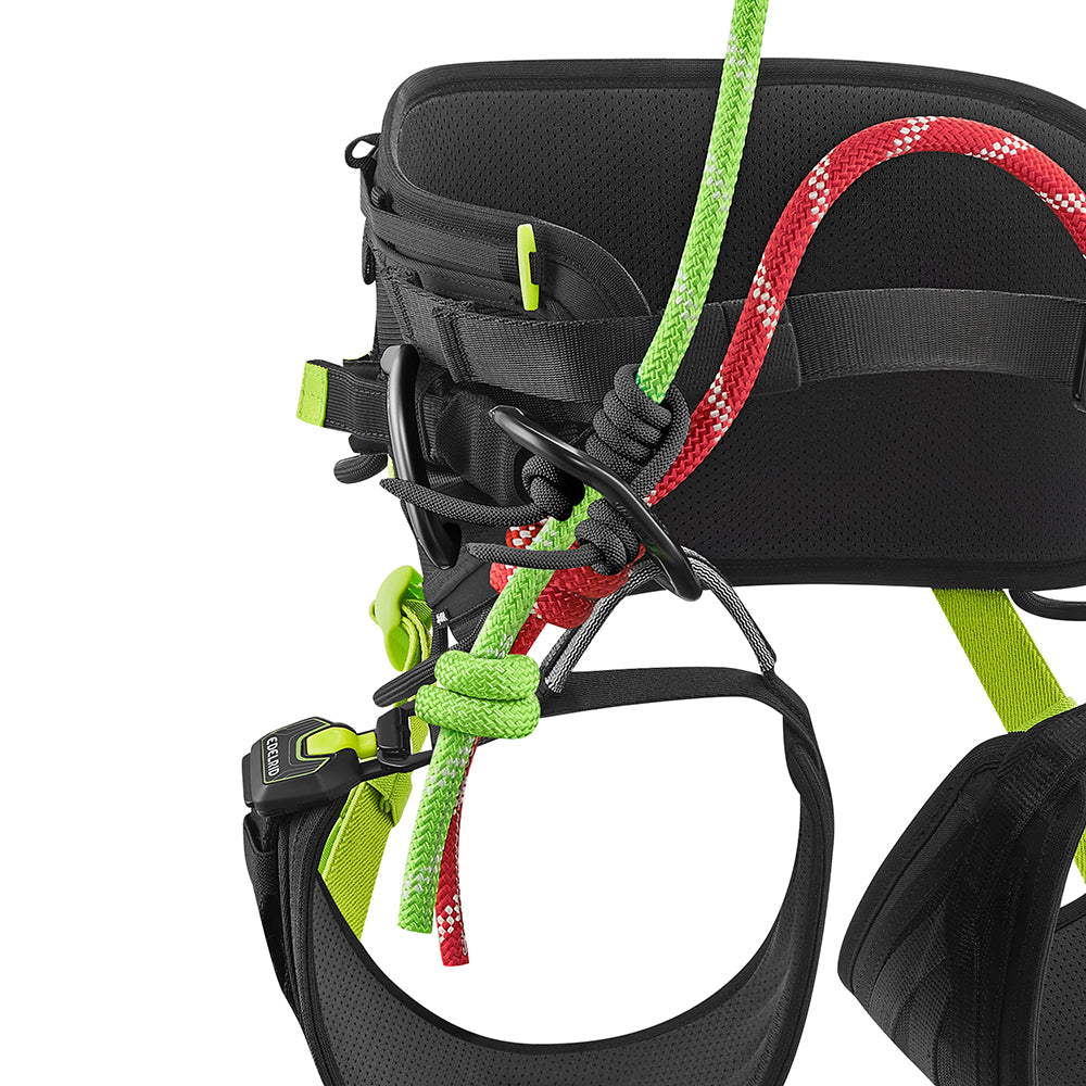 ED Harness TreeRex Trip