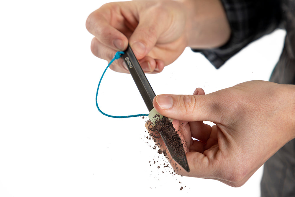 Nemo Stake - Sweepstake (6pc)