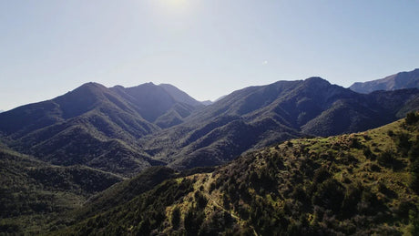 Train with legends: Emma Timmis and Mal Law are official coaching partners for Skedaddle 2026