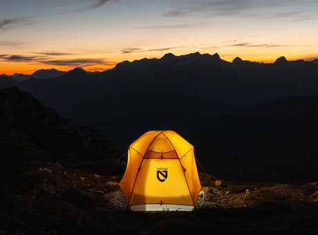 NEMO’s Endless Promise: a commitment worth taking into the wild