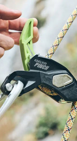 ED Pinch