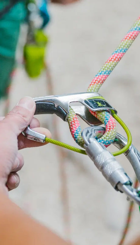 ED Belay Device Jul 2