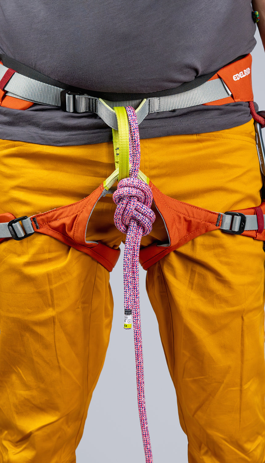 ED Harness Jay IV