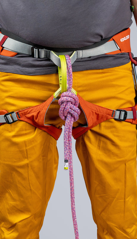 ED Harness Jay IV