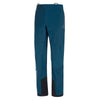 LS Pant - Roseg GTX