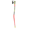 Leki World Cup GS 3D