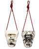 MT Training board - Rock Rings