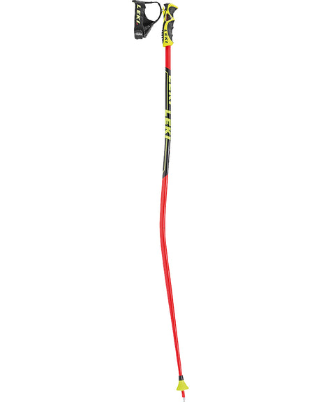 Leki World Cup GS 3D