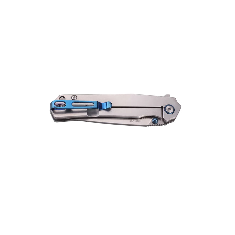 Ruike P801